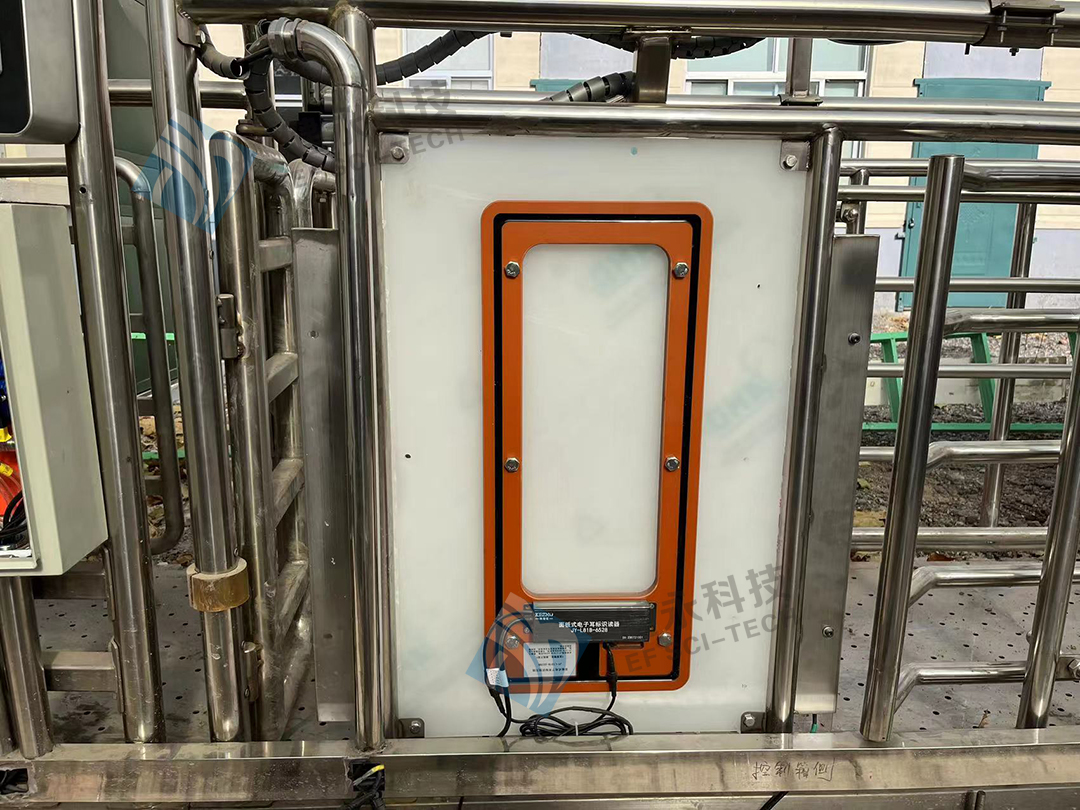 科智牧双天线电子耳标识读器JY-L81B-6528在牛称重器上的应用.jpg