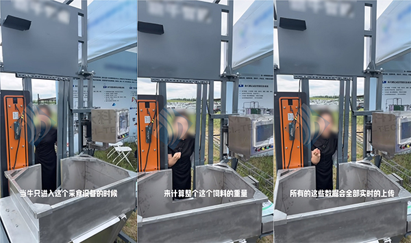 JY-L81-10020在牛采食监测系统中的应用.jpg