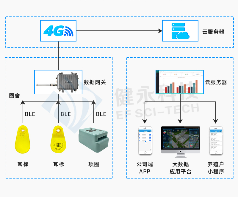 主图4.jpg