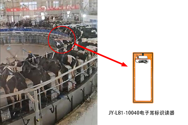 1783413698903309.jpg 场景图 拷贝.jpg